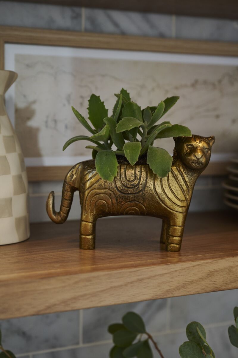 TIGER POT