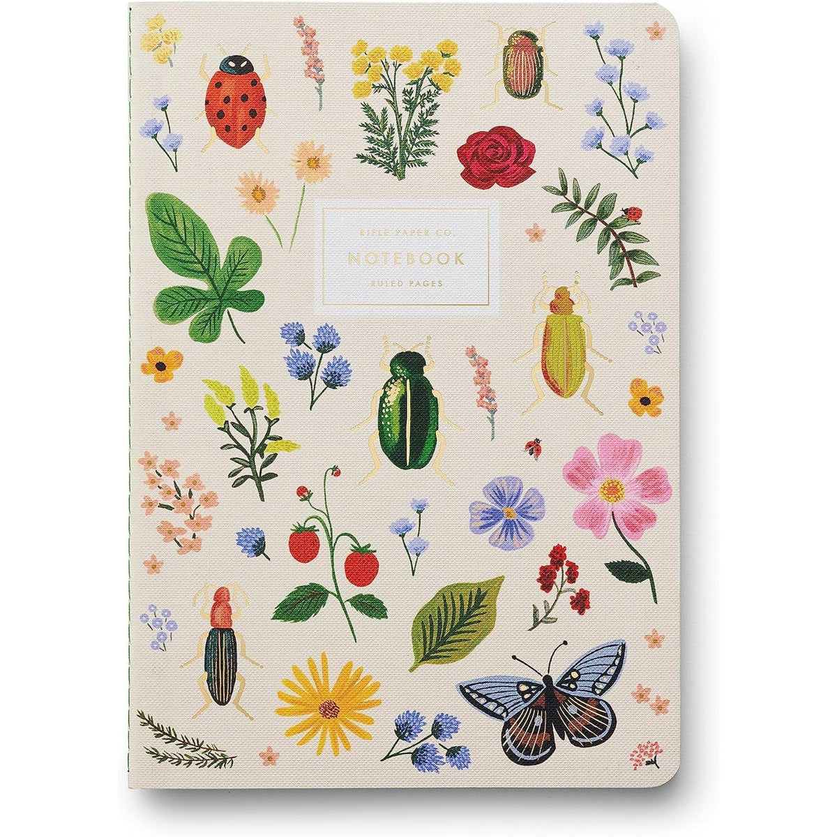 CURIO POCKET NOTEBOOKS SET/2