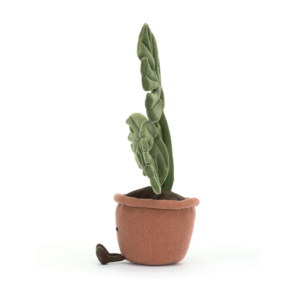 AMUSEABLES MONSTERA PLANT