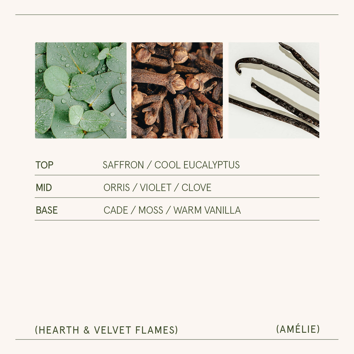 AMELIE CANDLE 11OZ HEARTH & VELVET