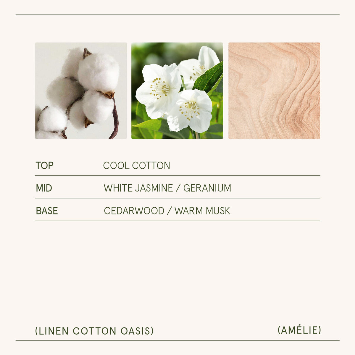 AMELIE CANDLE LINEN COTTEN OASIS