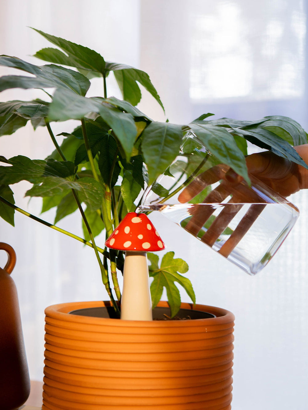 SELF WATERING AMANITA