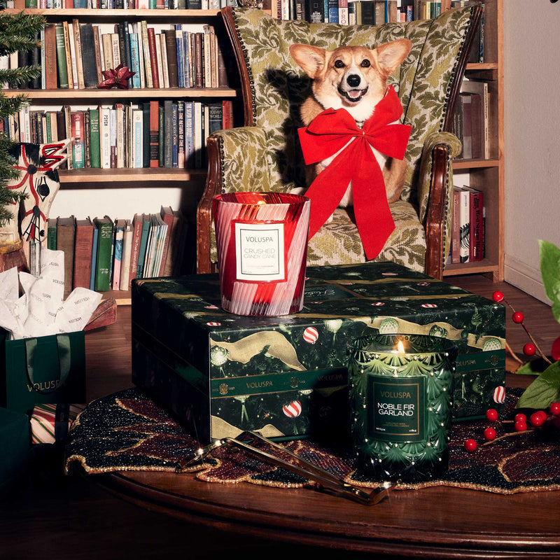 LIGHT UP THE HOLIDAYS DUO SET