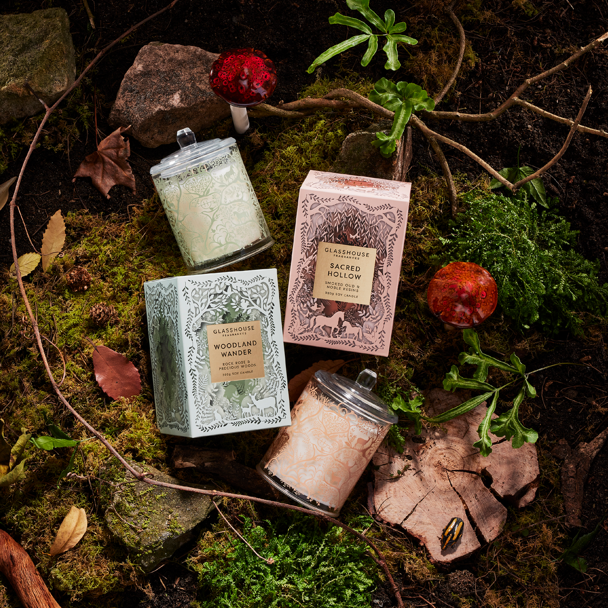 GLASSHOUSE 380G SACRED HOLLOW