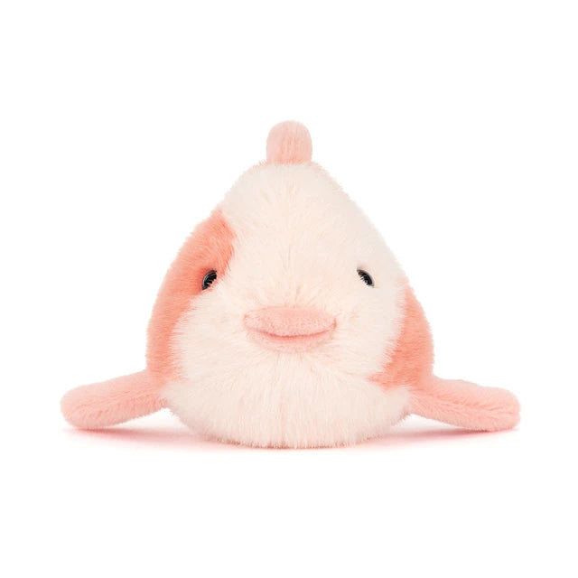 FANCY CARP