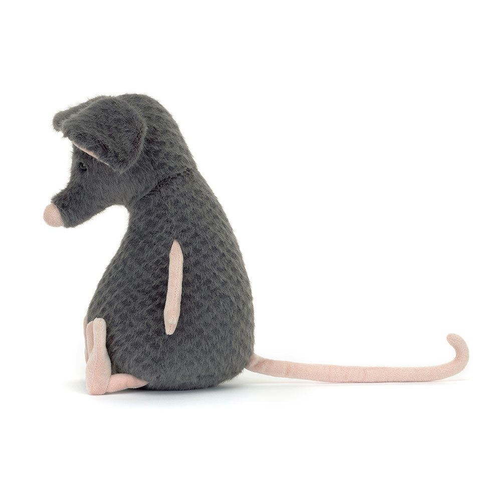LACHLAN SAD RAT
