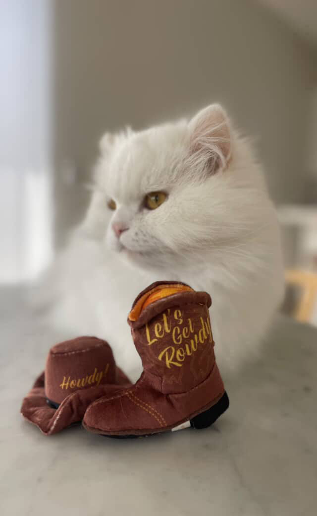 KITTY COWBOY CATNIP