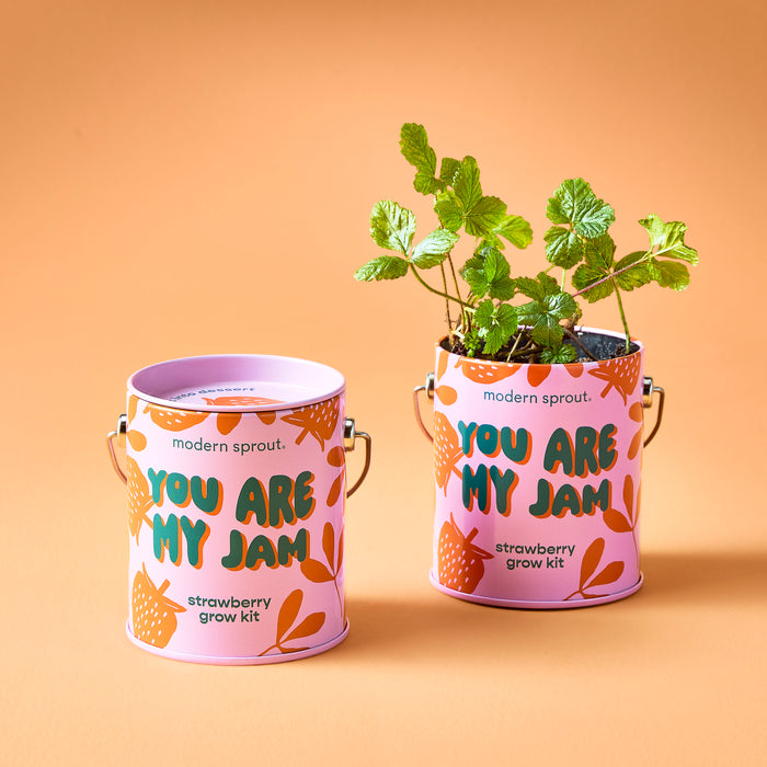COLOR GROW KIT