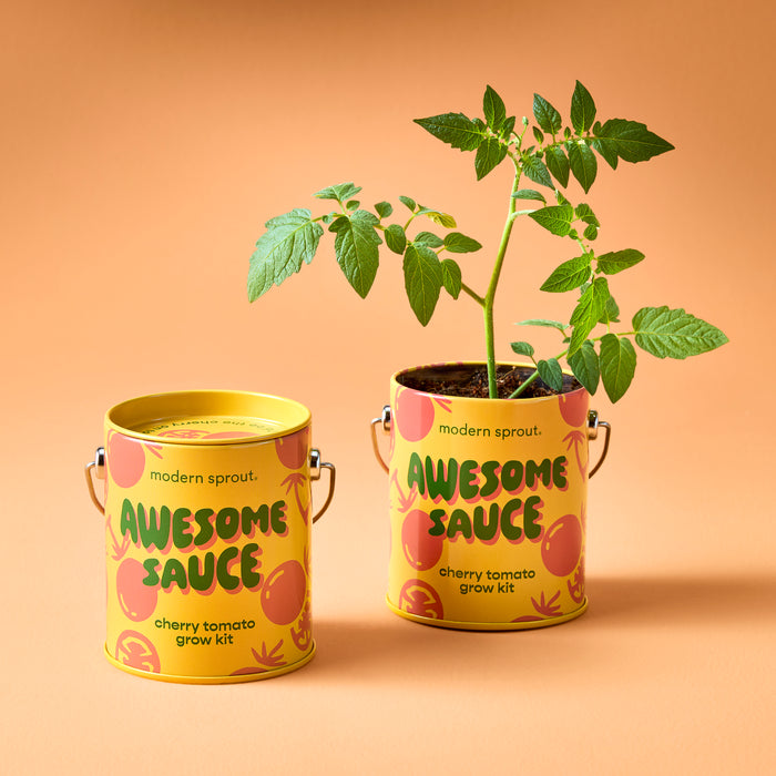 COLOR GROW KIT