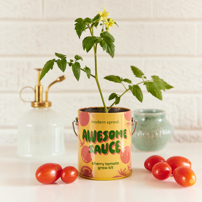 COLOR GROW KIT