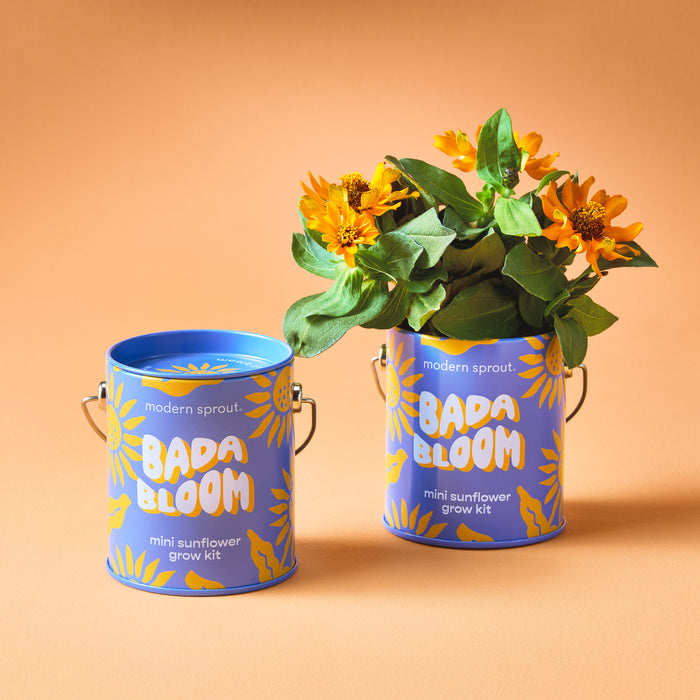 COLOR GROW KIT