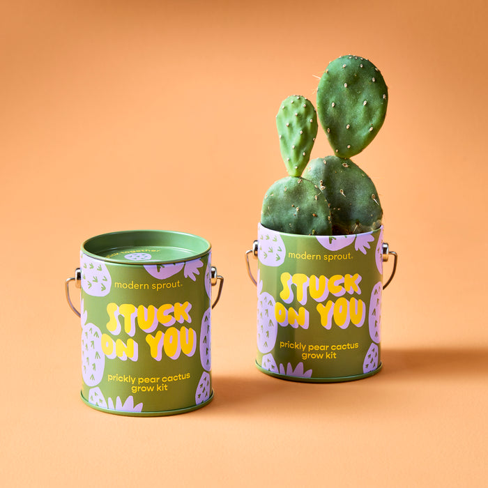 COLOR GROW KIT