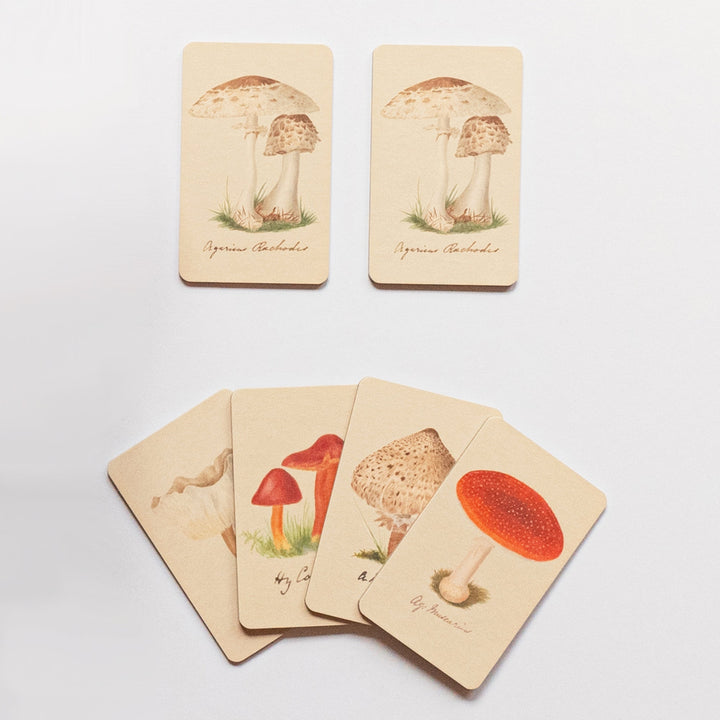 MATCHING GAME FUNGI