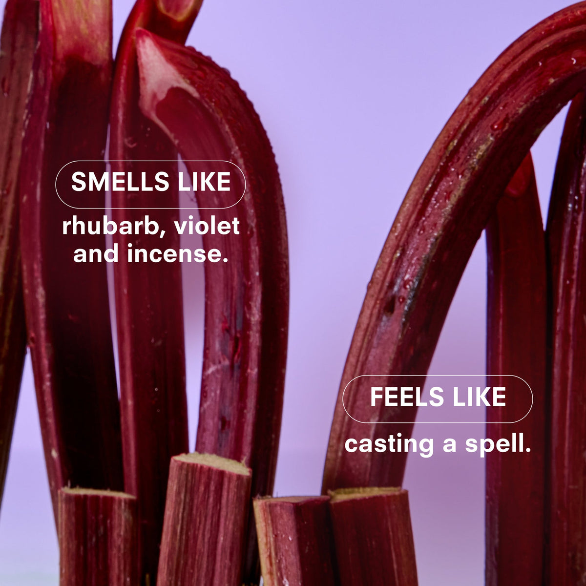 VIOLET ENDS 50ML