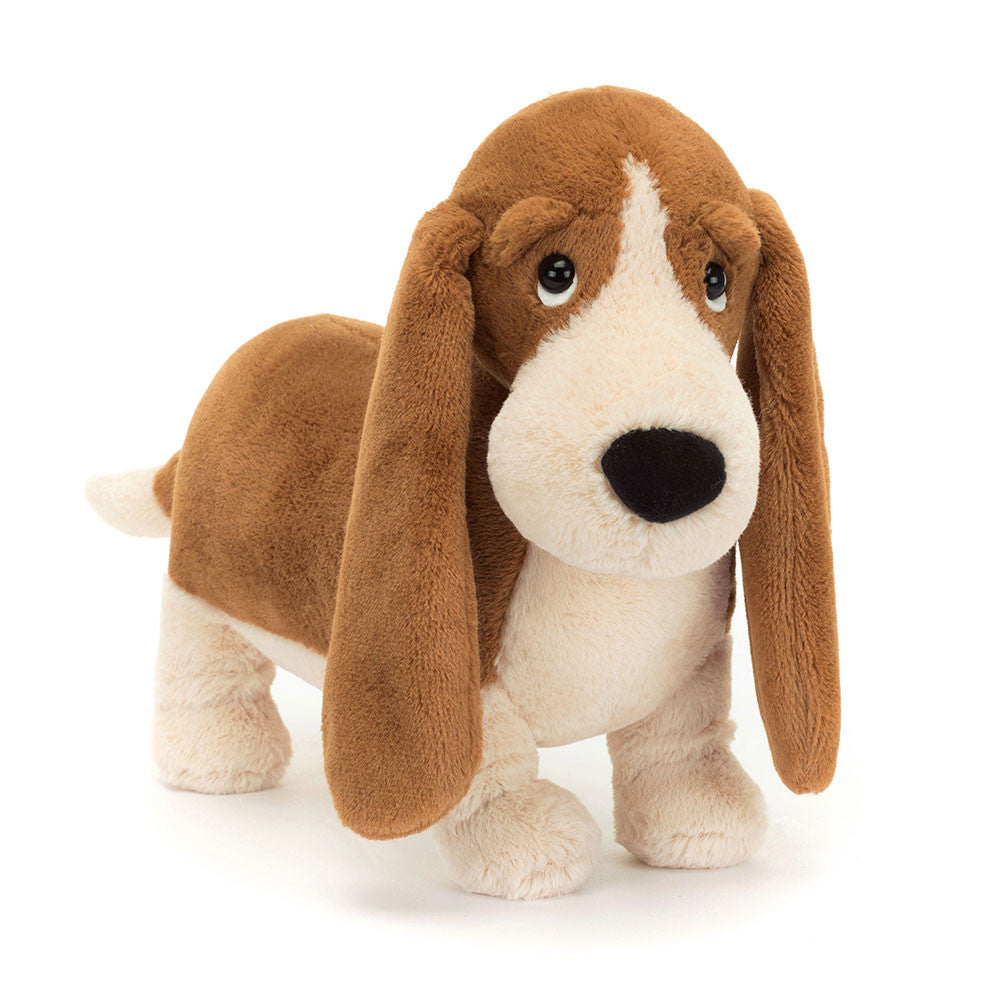 RANDALL BASSET HOUND