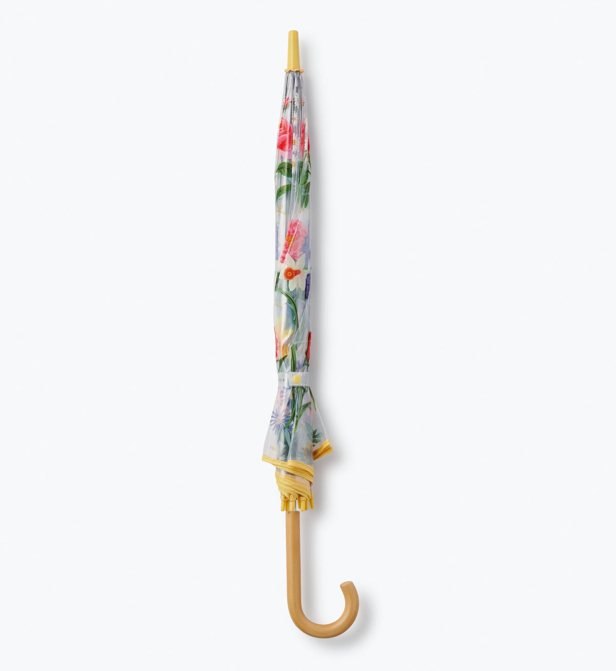 GARDEN STUDY CLEAR UMBRELLA