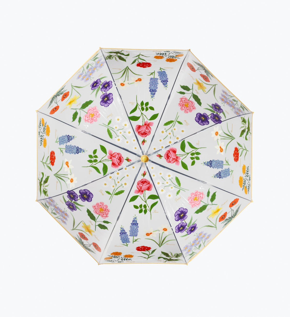 GARDEN STUDY CLEAR UMBRELLA