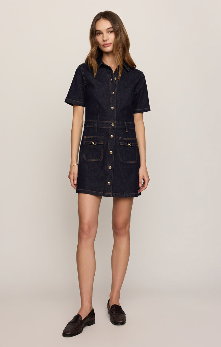 THE CRUSH DENIM DRESS