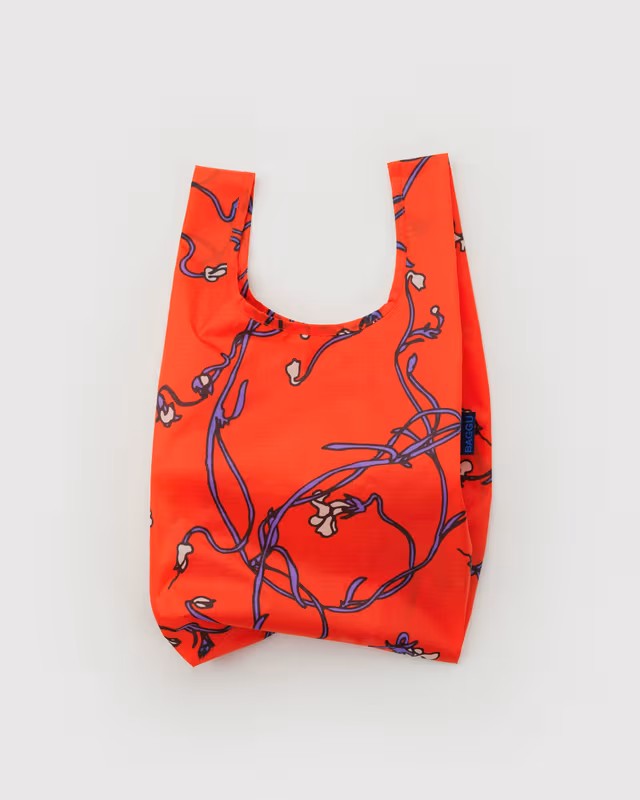 BABY BAGGU