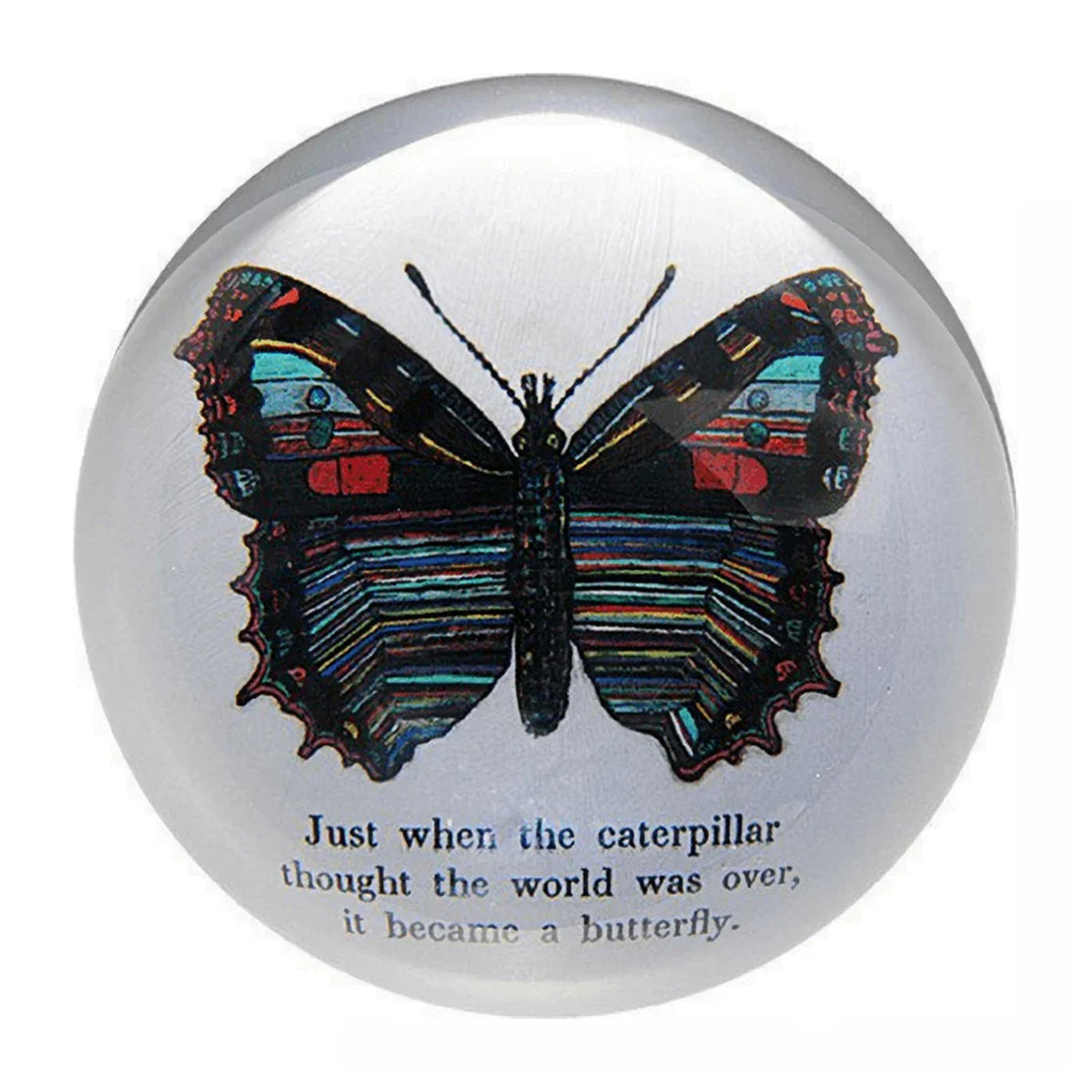 DECORATIVE PAPER WEIGHTS