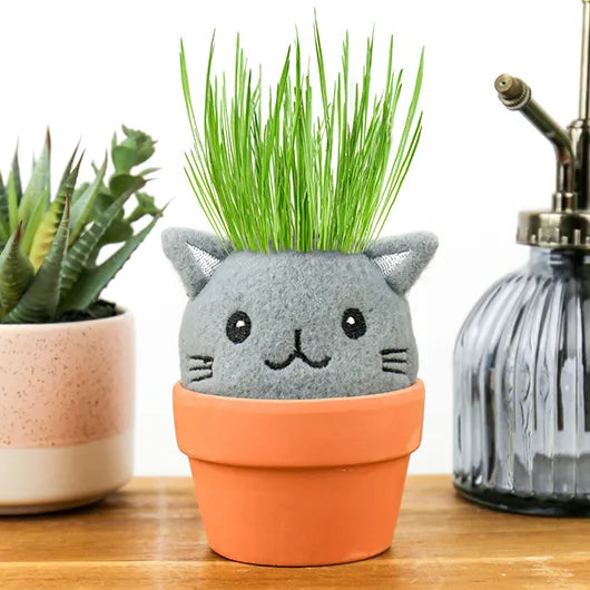 CAT GROW PAL