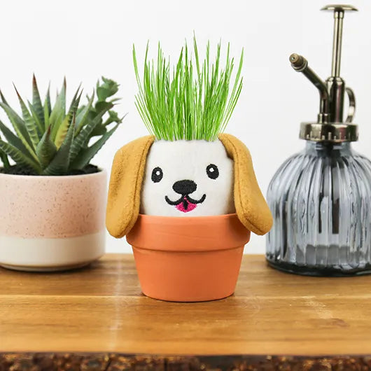 DOG GROW PAL