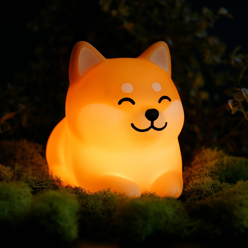 AMBIENT LIGHT
