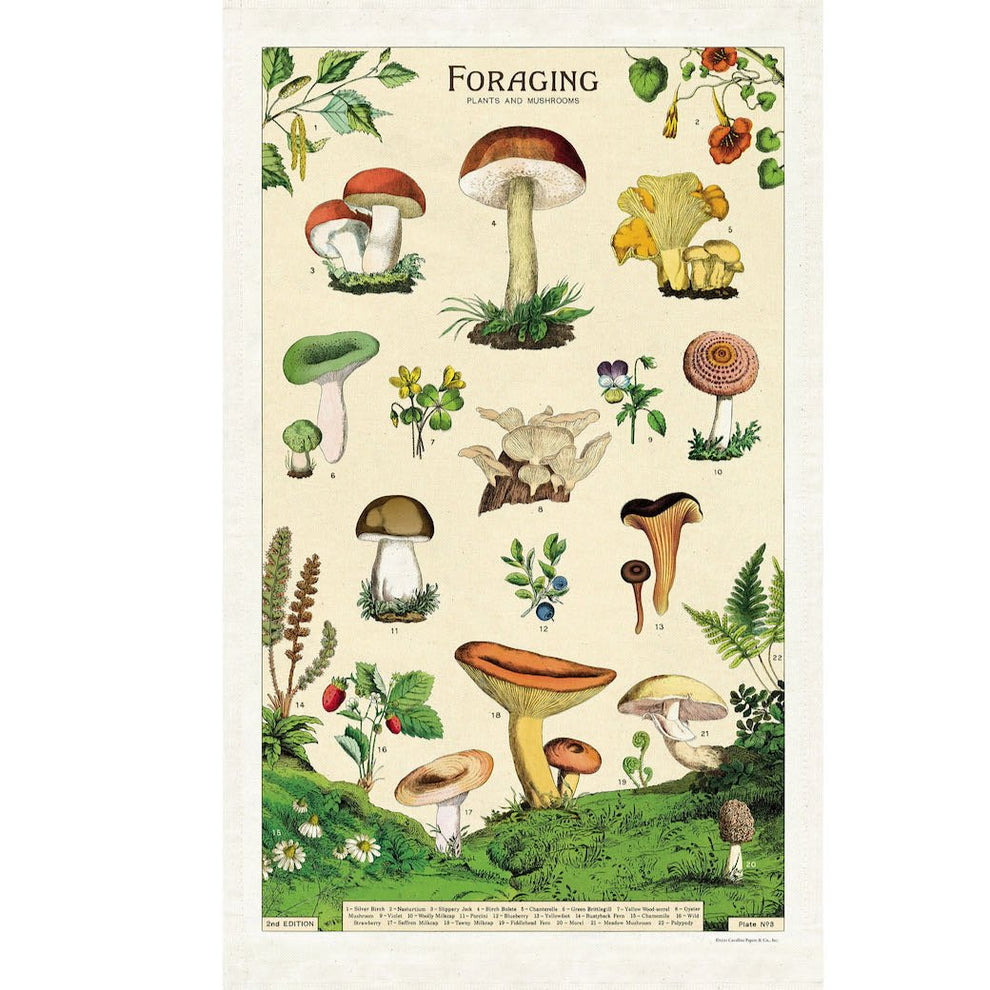 CAVALLINI TEA TOWEL