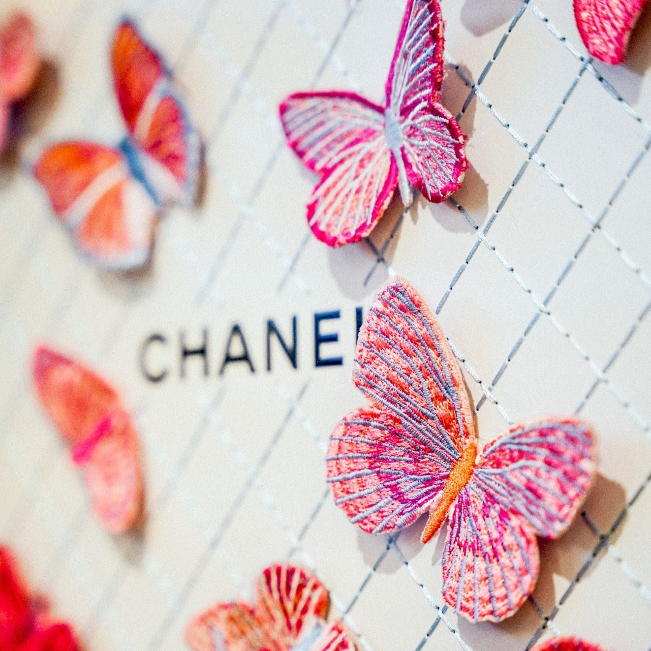 Chanel Flutter on White By Stephen Wilson 12x12x2
