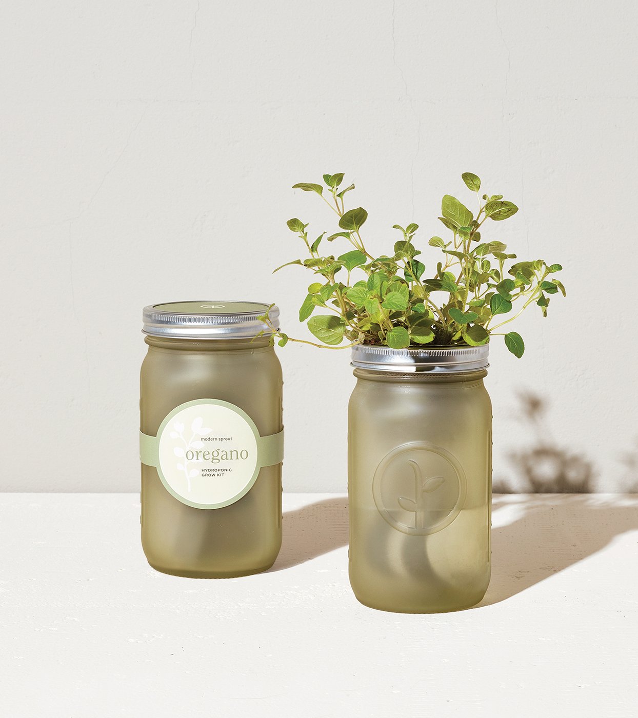 Modern Sprout Garden Jar (Mint)