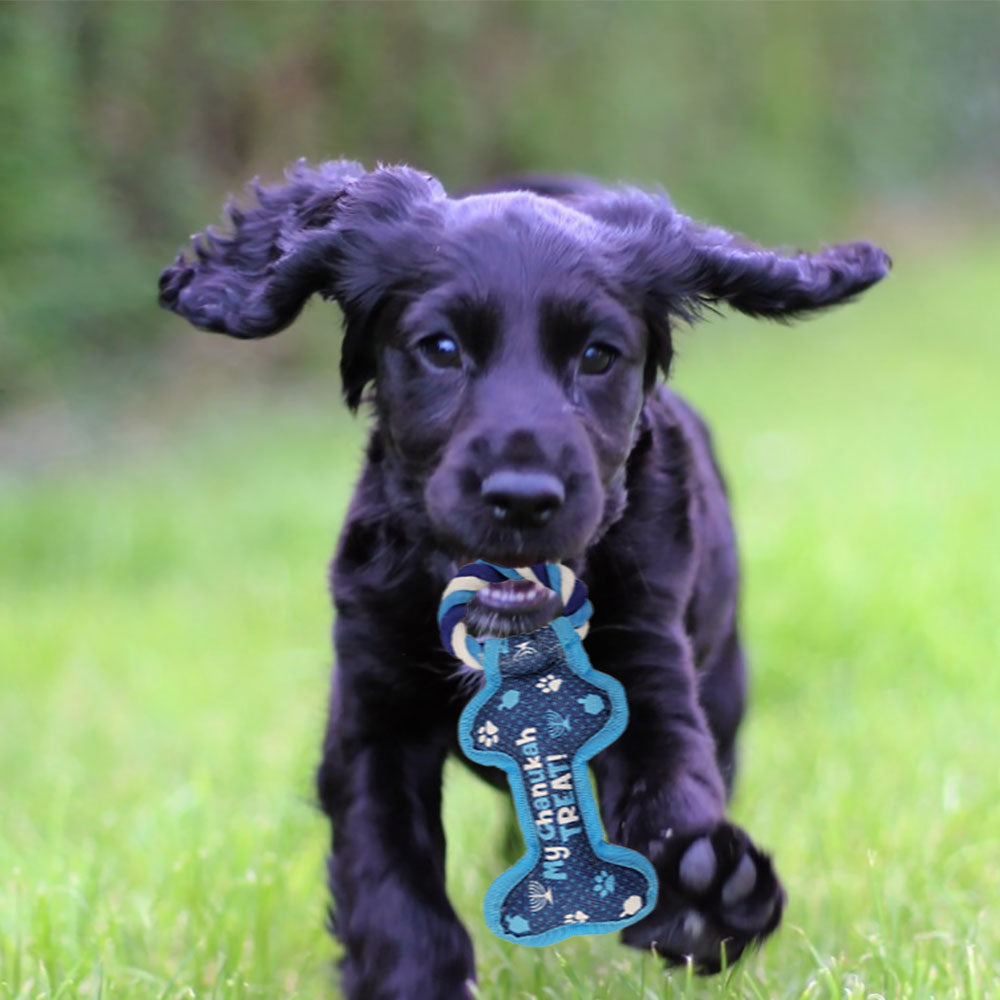 CHANUKAH DOG TOY